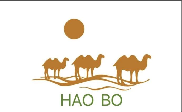 HAOBO CARS