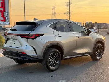 Lexus NX250 Premium 2024 Model Year 2.5L Petrol V4 USA Specs