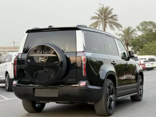 ROX 01 VIP 1.5L Hybrid 2025 Model Year BLack Color Exterior