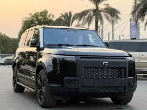 ROX 01 VIP 1.5L Hybrid 2025 Model Year BLack Color Exterior