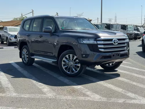 TOYOTA LAND CRUISER 4.0L GCC SPECS 2025 MODEL YEAR GRAY COLOR