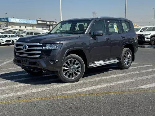 TOYOTA LAND CRUISER 4.0L GCC SPECS 2025 MODEL YEAR GRAY COLOR