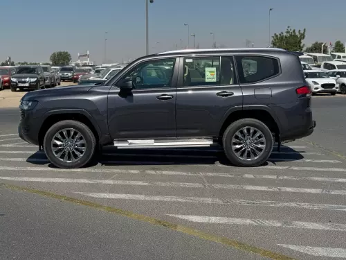 TOYOTA LAND CRUISER 4.0L GCC SPECS 2025 MODEL YEAR GRAY COLOR