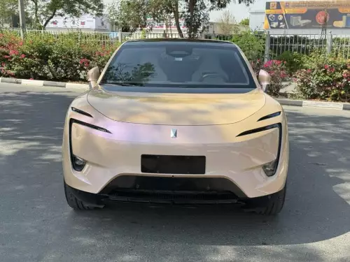 Avatar 11 Premium AWD Fully Electric 2025 Model Year Pink Color Exterior 