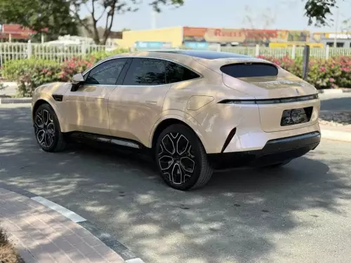 Avatar 11 Premium AWD Fully Electric 2025 Model Year Pink Color Exterior 