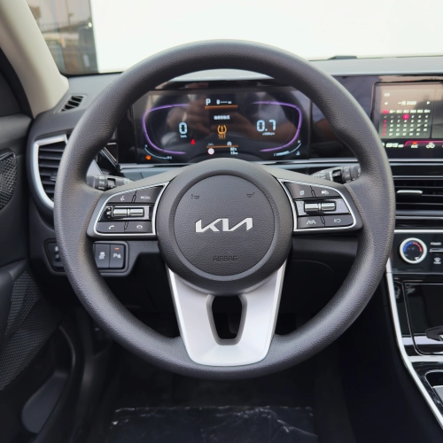 KIA Seltos 1.5L Petrol FWD 2025 Model Year White Color Exterior