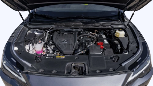 LEXUS RX350 PREMIUM 2.4L 2023 MODEL YEAR GREY COLOR