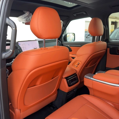 Rox 01 HEV 1.5L Petrol 2025 Model Year Black Color Exterior 