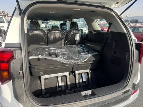 Kia Carnival 3.5L Petrol 8-Seater 2025 - White 