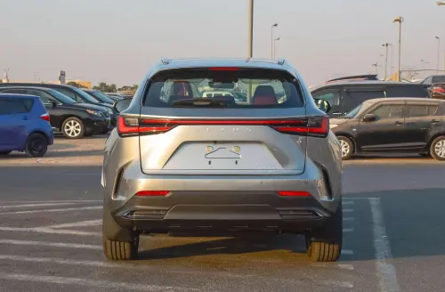 Lexus NX350 Full Option 2025 Model Year Silver Exterior