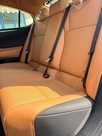 Lexus es250 model year 2022 petrol