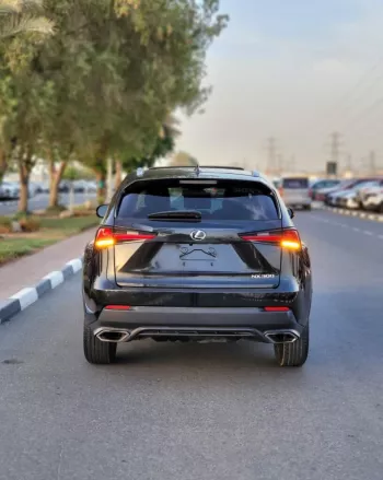 LEXUS NX300 2020 2.5L V4 4WD
