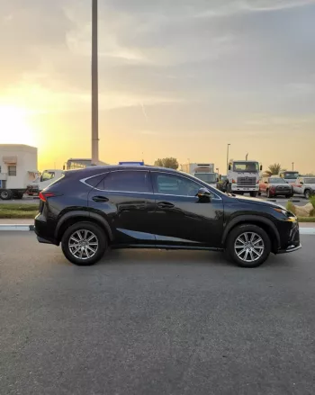 LEXUS NX300 2020 2.5L V4 4WD