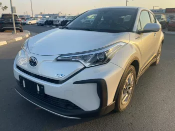 2022 TOYOTA IZOA BASIC (EV)