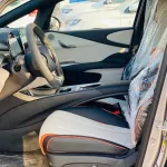 BYD DOLPHIN 2022 ev FULL ELECTRIC - Thumbnail 12