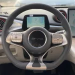 BYD DOLPHIN 2022 ev FULL ELECTRIC - Thumbnail 16