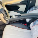 BYD DOLPHIN 2022 ev FULL ELECTRIC - Thumbnail 21