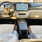 BYD DOLPHIN 2022 ev FULL ELECTRIC - Thumbnail 22