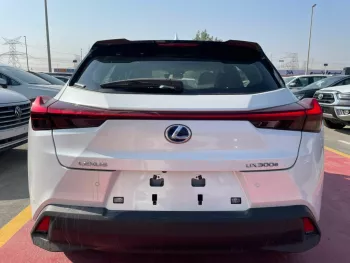 LEXUS ux300e / electric car / 2022