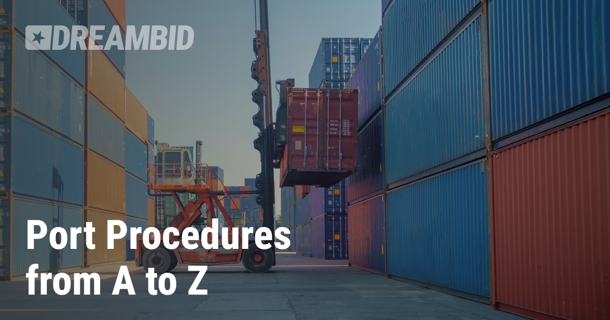 Unloading at the Port, Customs and VAT – Step by Step