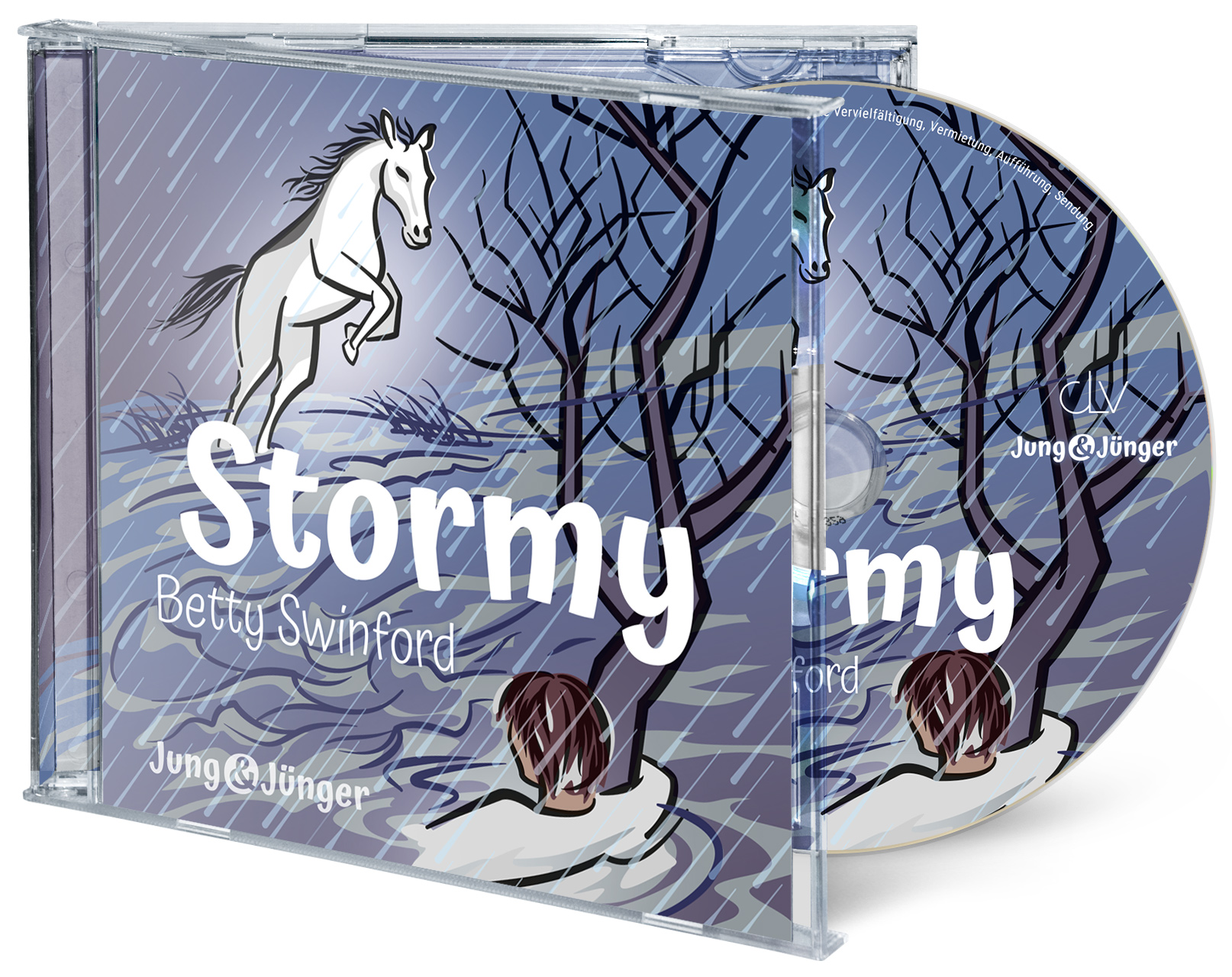 Stormy - Hörbuch
