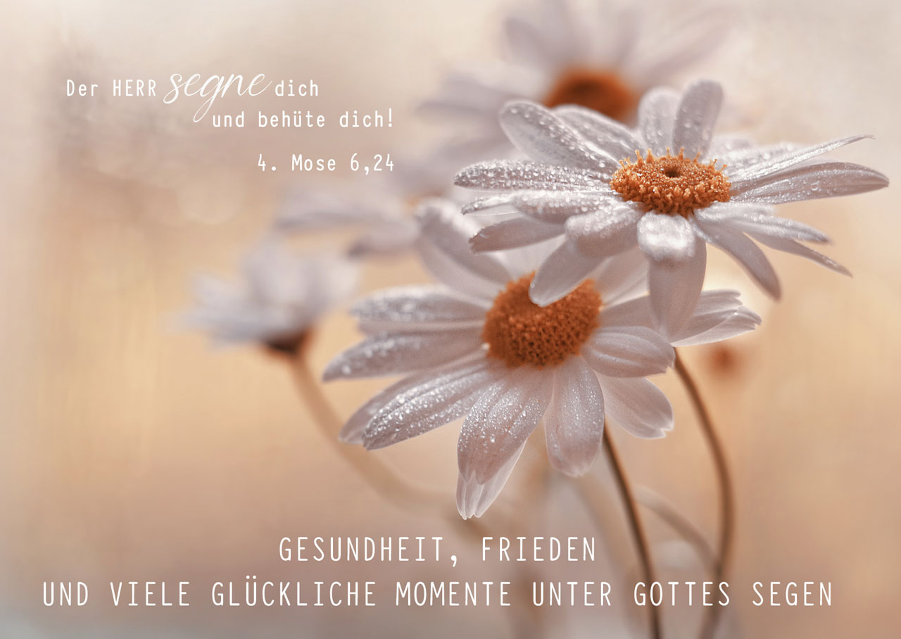 Postkarte Gesundheit Frieden und viele ...12 Ex.