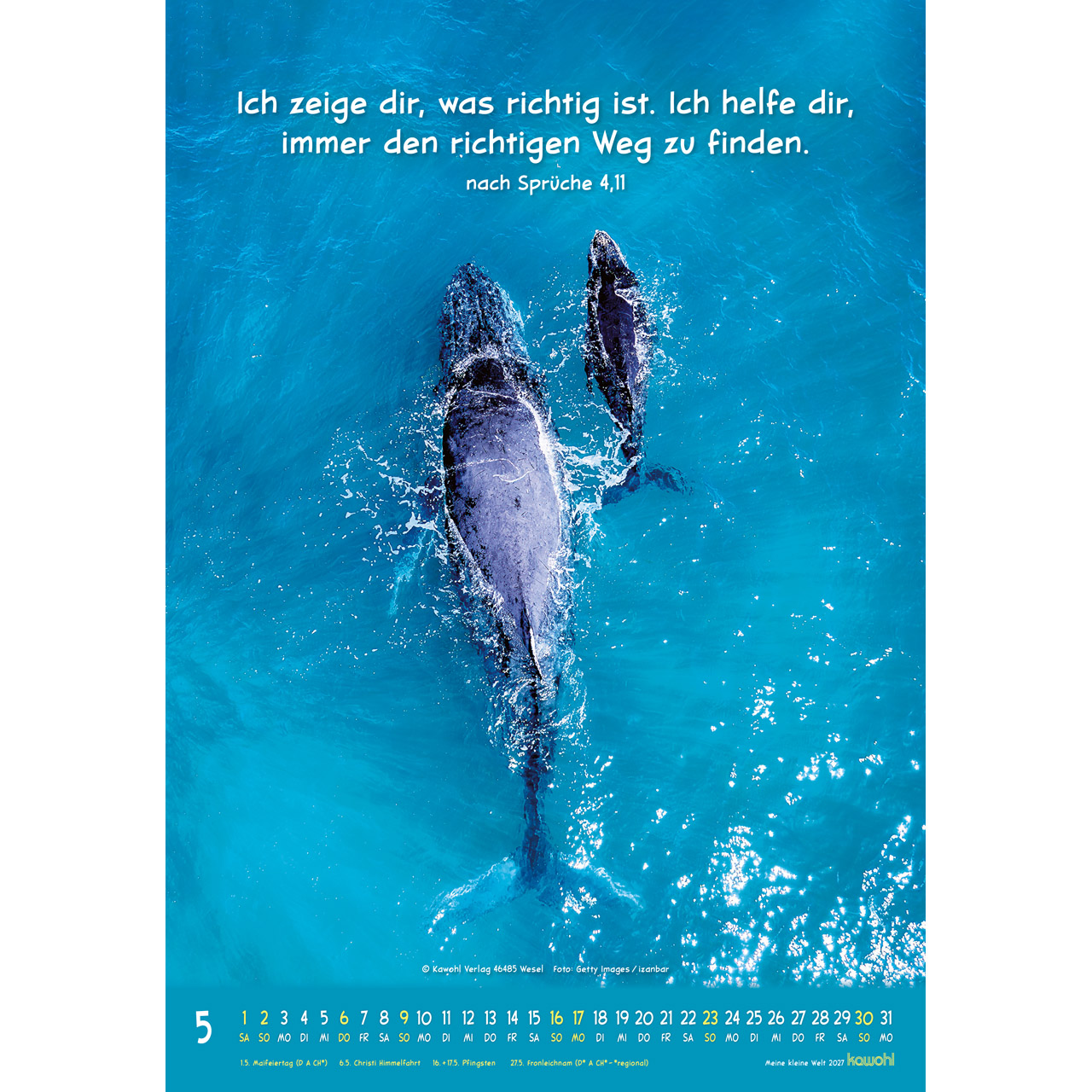 Meine kleine Welt 2027 - Wandkalender