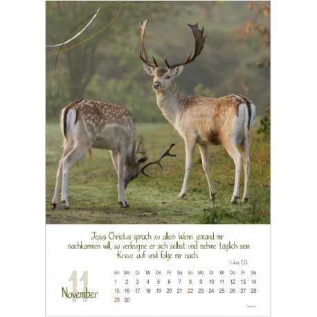 Natur 2026 - Wandkalender