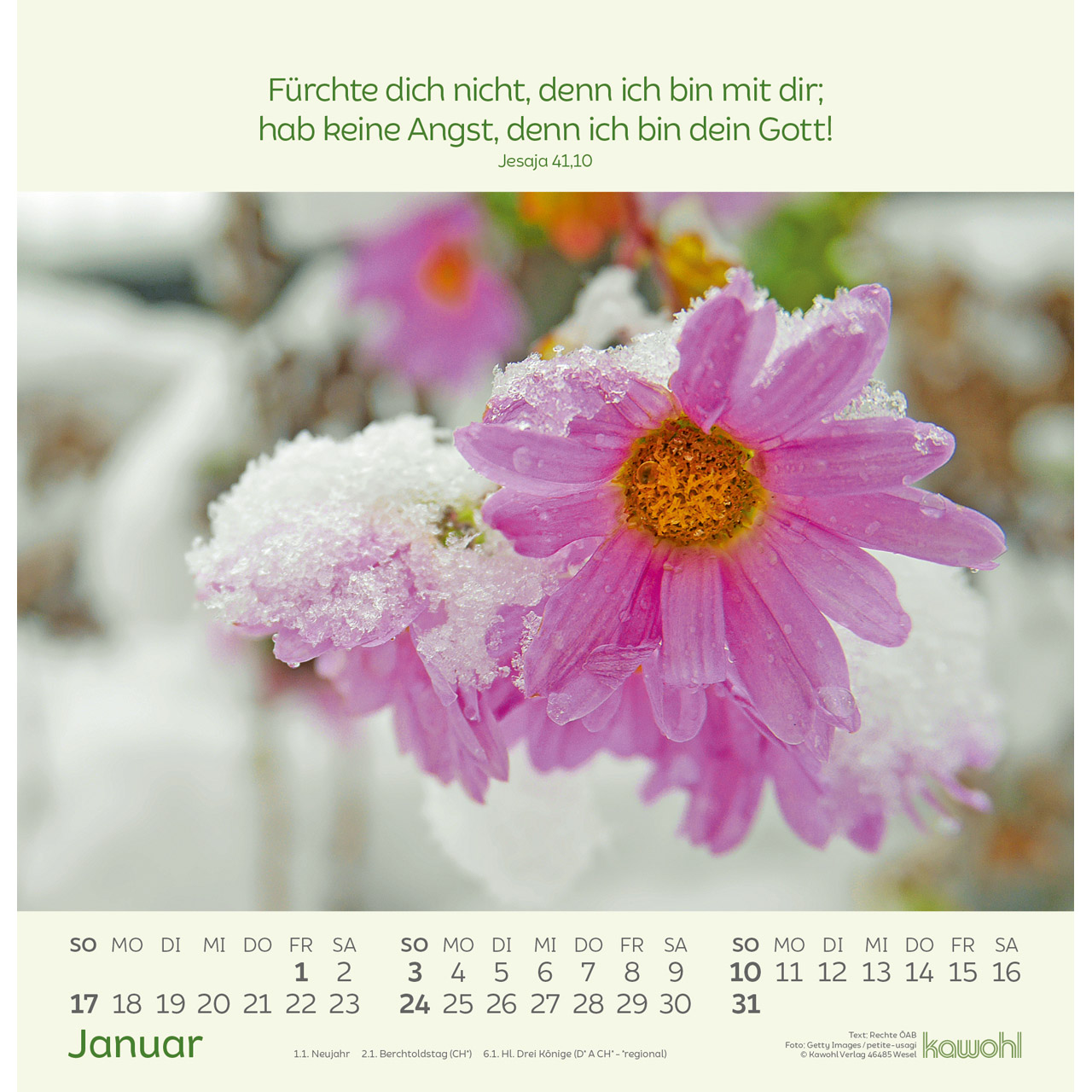 Blumengrüße 2027 - Wandkalender