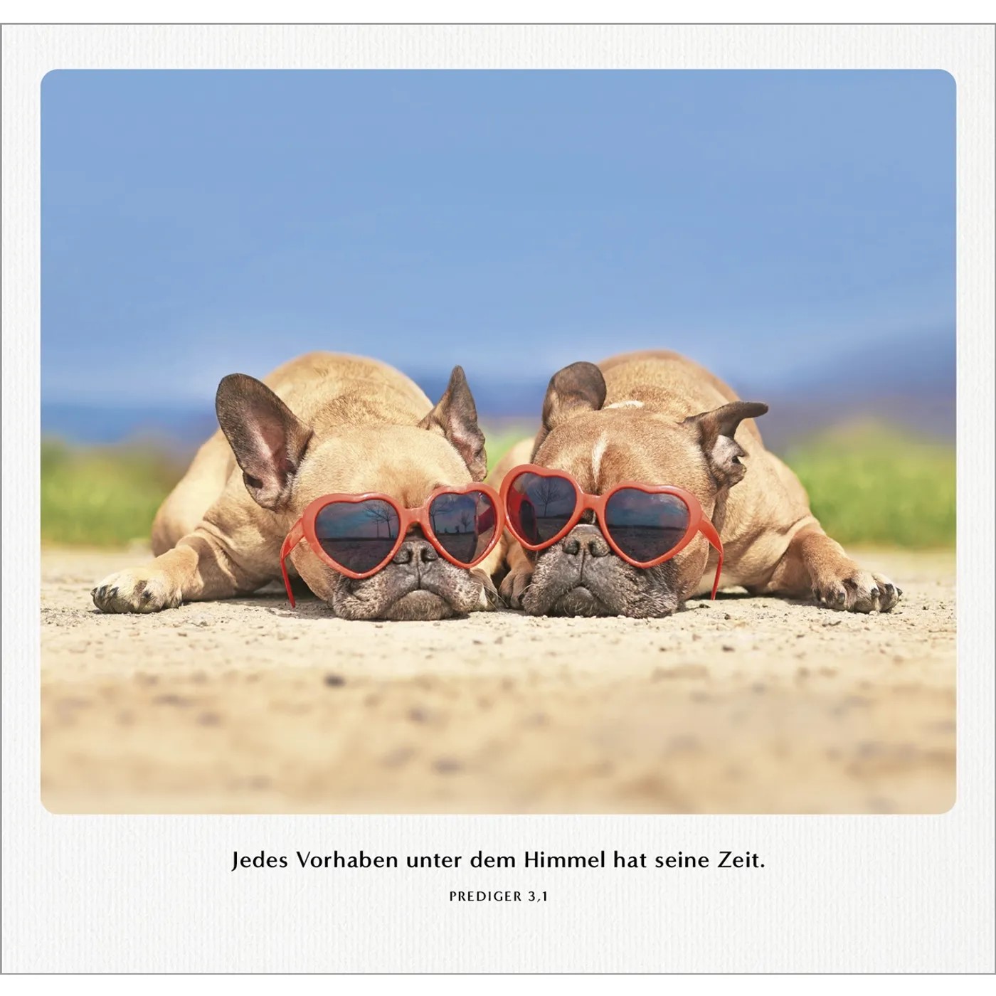 Familien-Terminplaner 2027 - Wandkalender