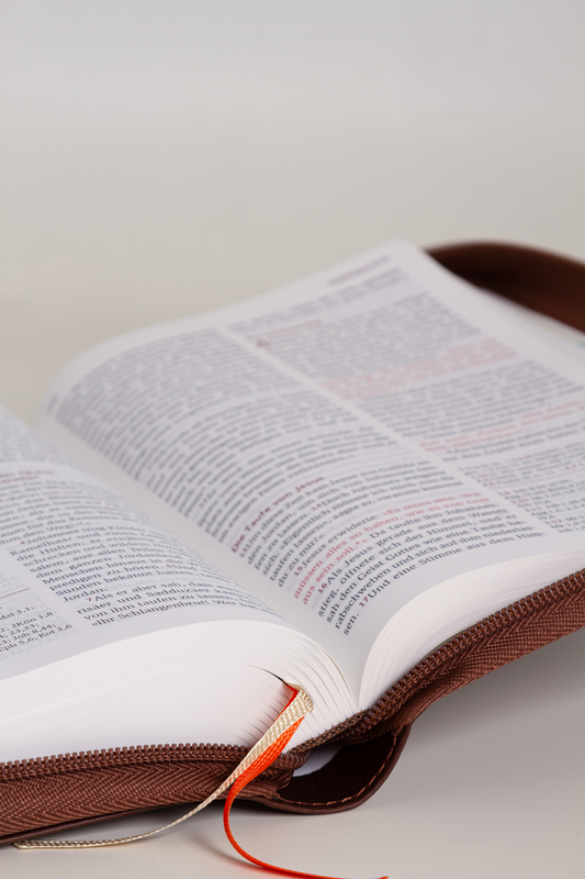 Neues Leben. Die Bibel. Standardausgabe