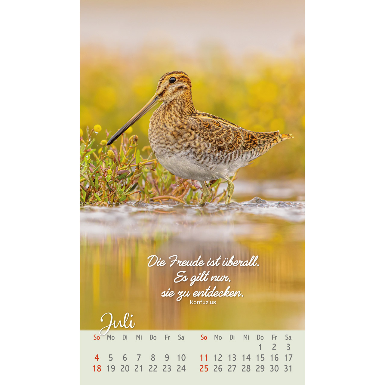 Beflügelt und geborgen 2027 - Postkartenkalender