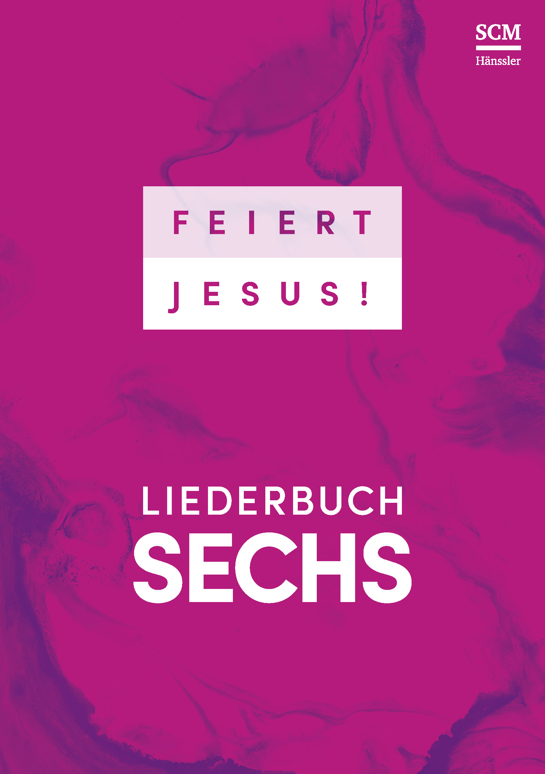 Feiert Jesus! 6 (Ringbuch DIN A5)