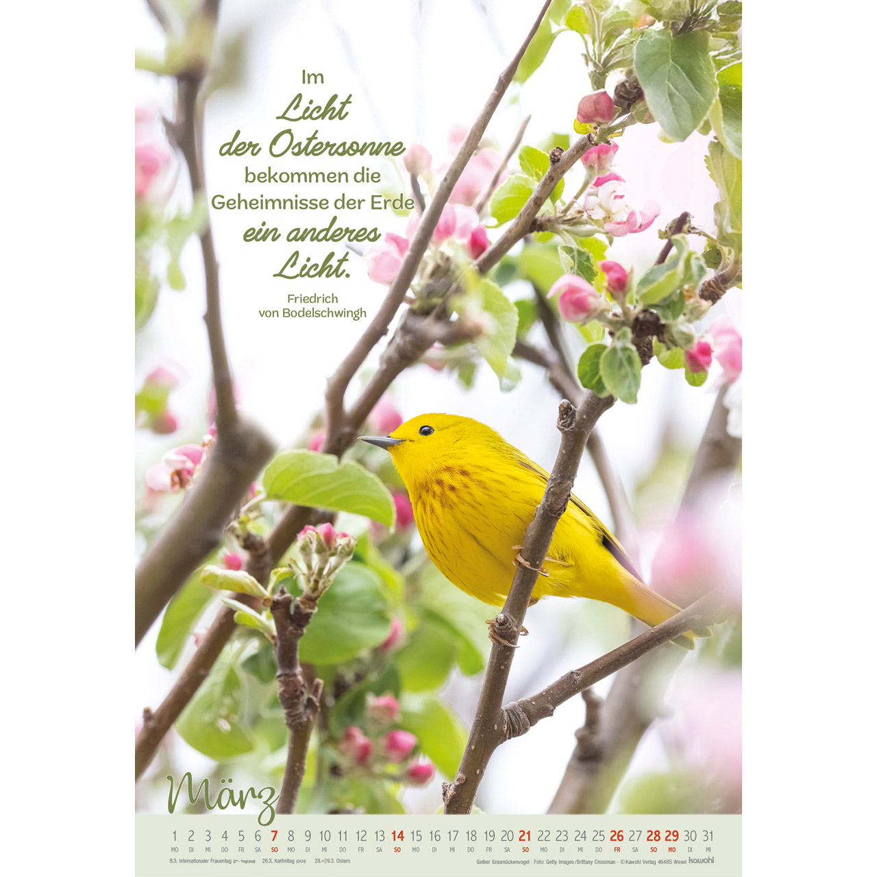 Beflügelt und getragen 2027 - Wandkalender