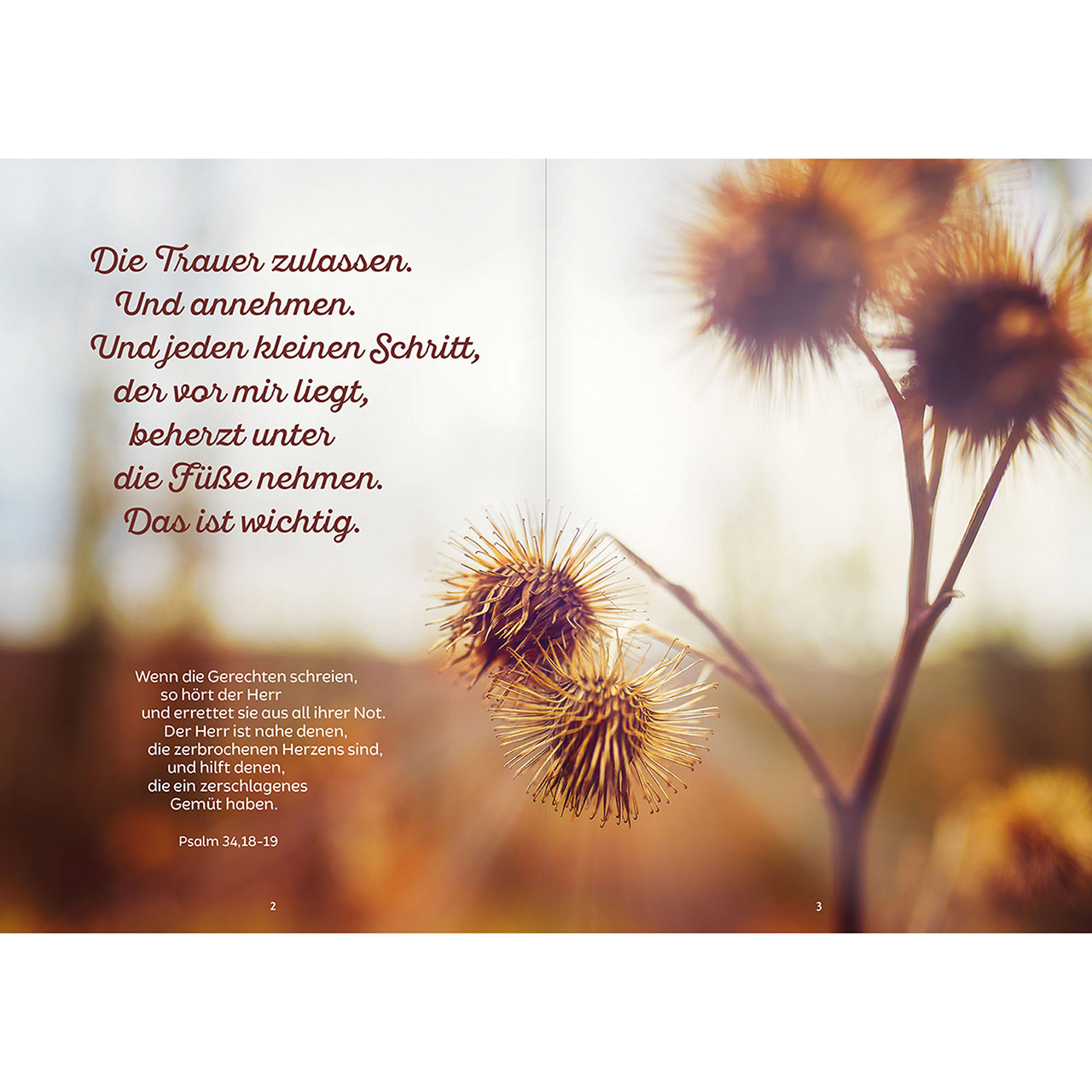 Sei ganz getrost an Gottes Hand