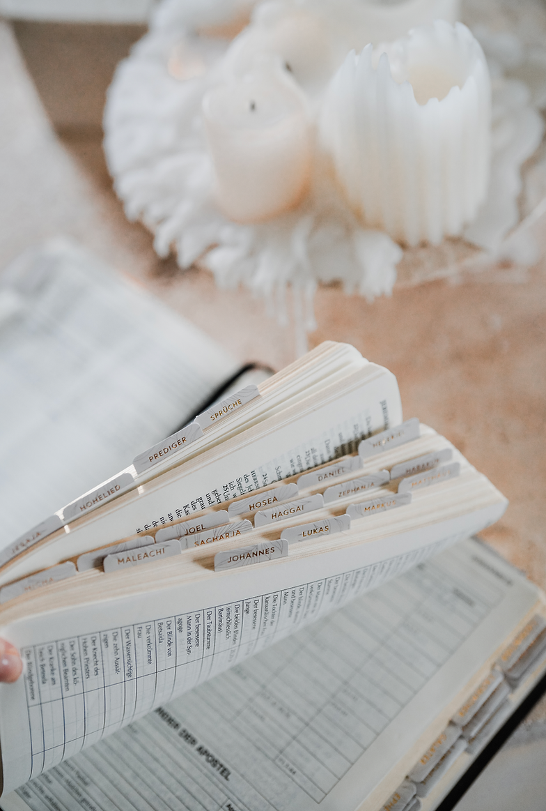 Bibel-Griffregister beige/gold floral (liebezurbibel)
