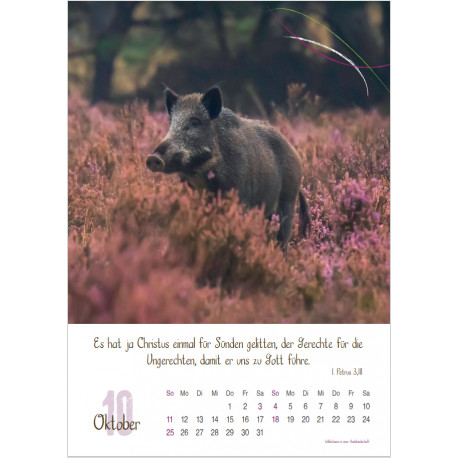 Natur 2026 - Wandkalender