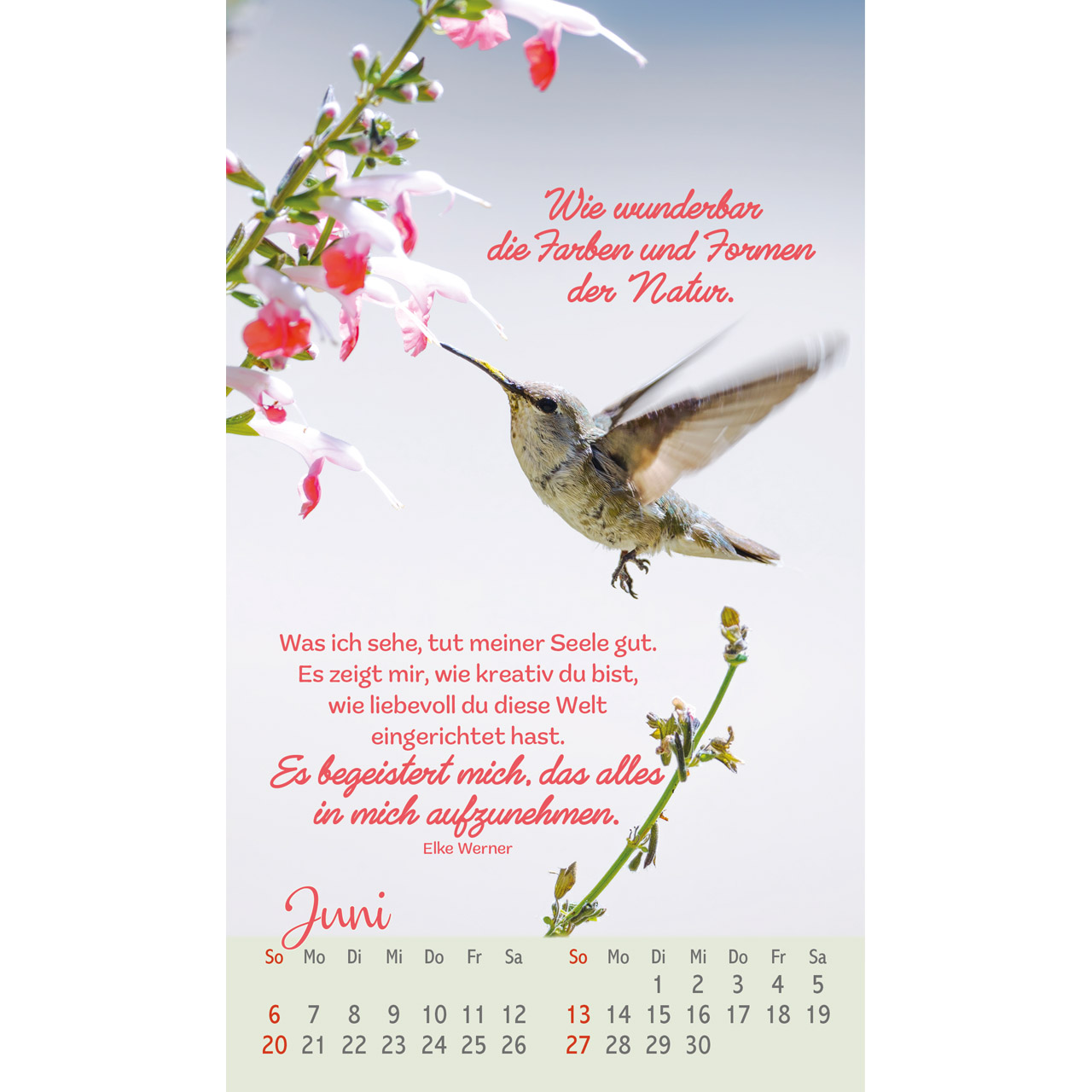 Beflügelt und geborgen 2027 - Postkartenkalender
