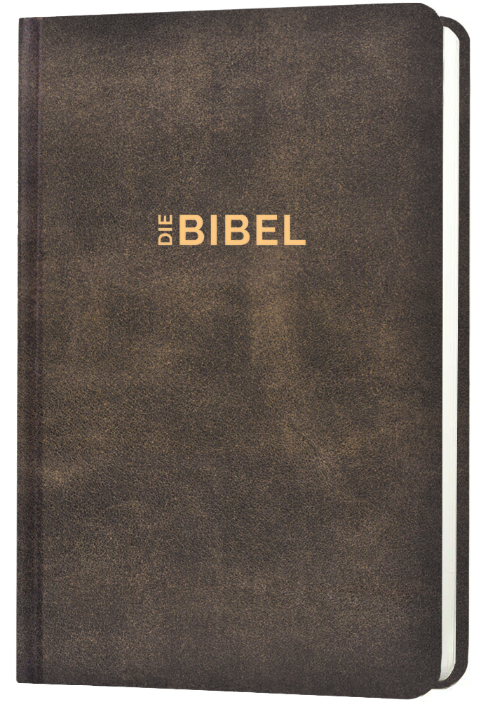 Schlachter 2000 Die Bibel (Antikleder-Optik)