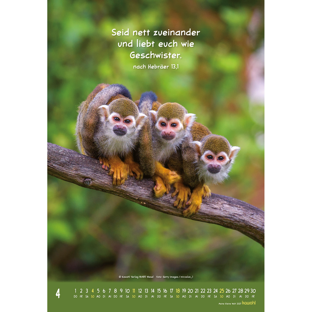 Meine kleine Welt 2027 - Wandkalender