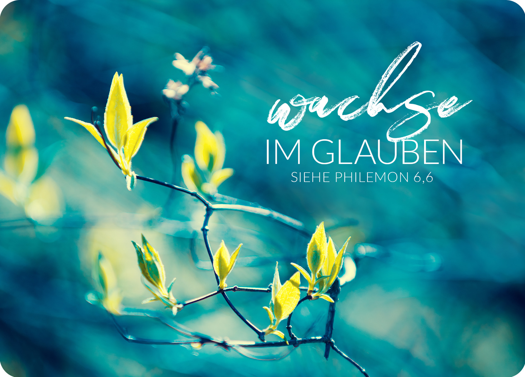 Big Blessing auf Naturpapier - Wachse