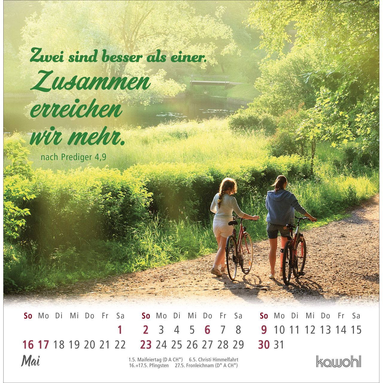 Ankommen & leben 2027 - Postkartenkalender