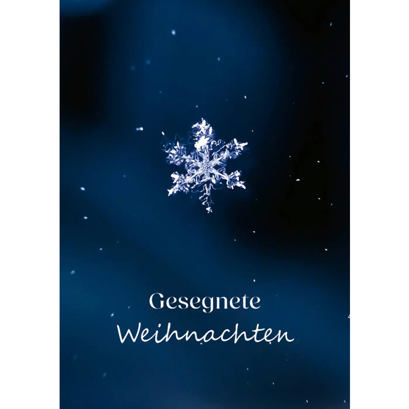 Freue dich, Welt! – Postkartenset