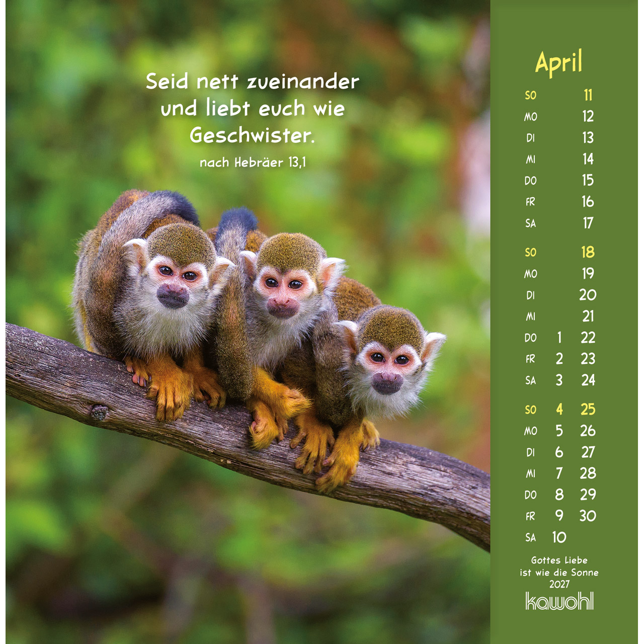 Gottes Liebe ist wie die Sonne 2027 - Postkartenkalender