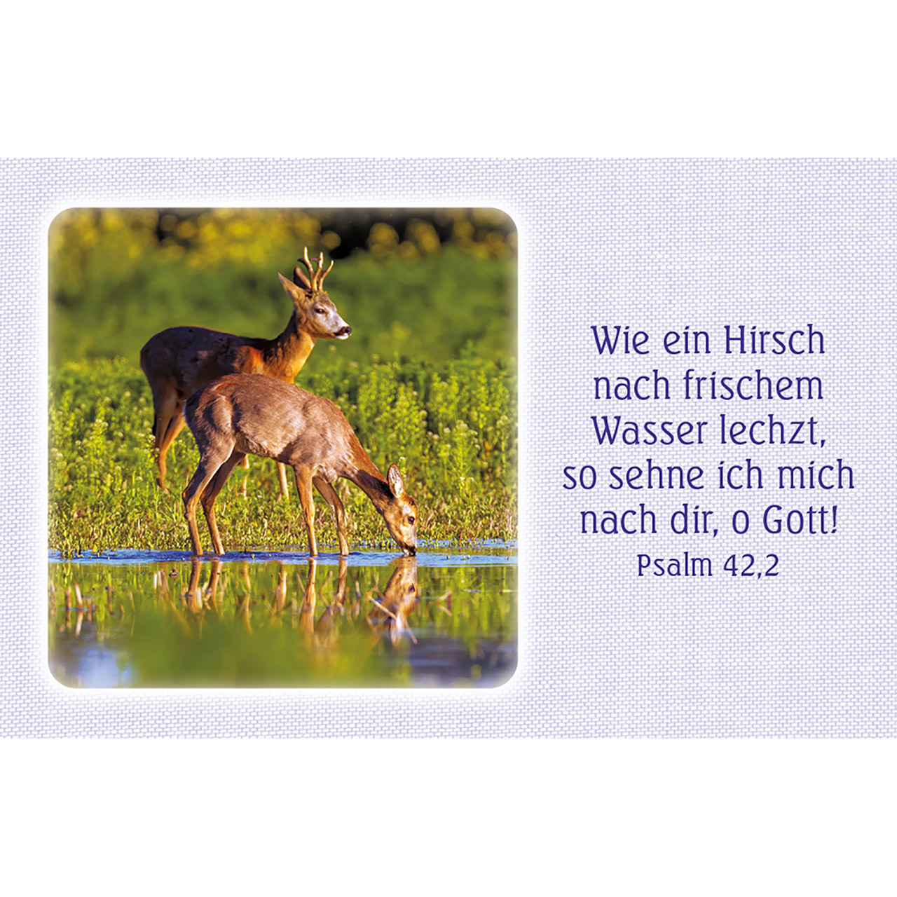 62 Psalm-Gebete (Karten-Box)