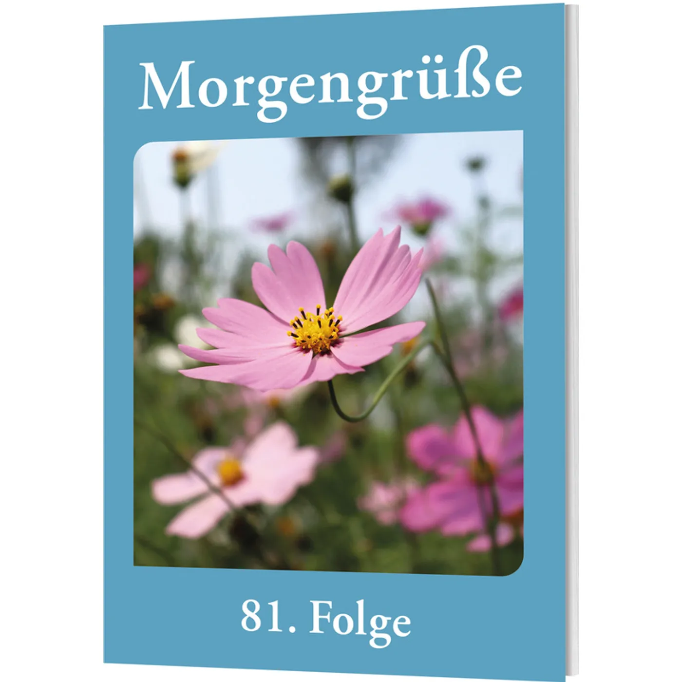 Morgengrüße 81. Folge - 2027