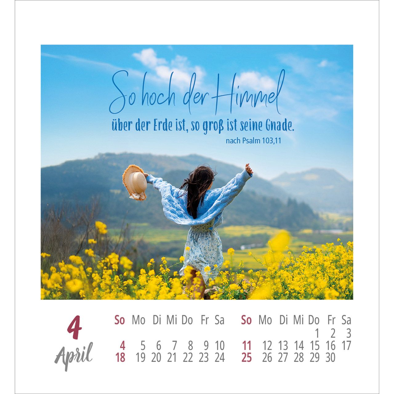 Frei sein & leben 2027 - Aufkleber-Kalender