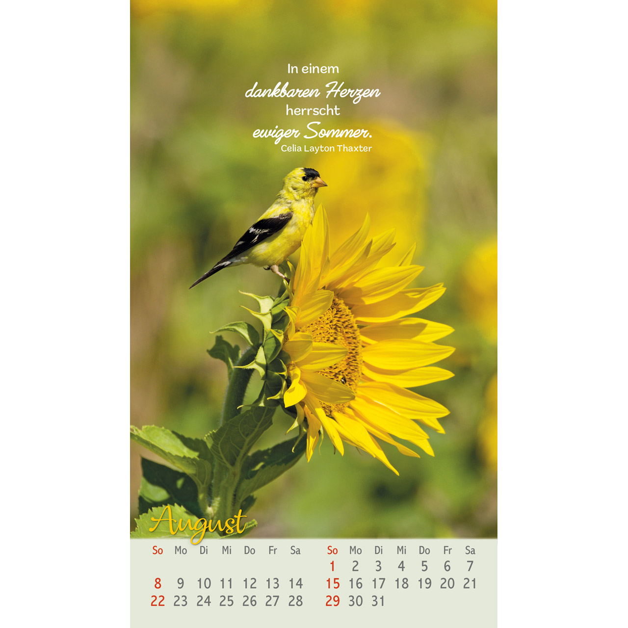 Beflügelt und geborgen 2027 - Postkartenkalender