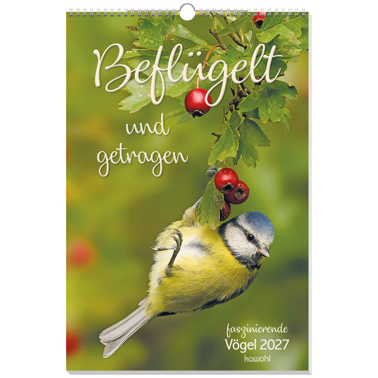 Beflügelt und getragen 2027 - Wandkalender