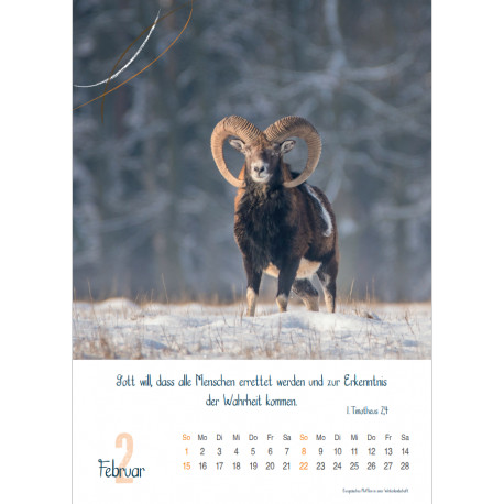 Natur 2026 - Wandkalender